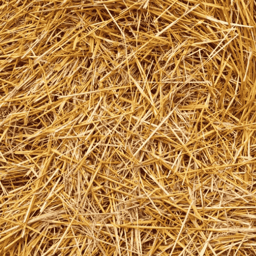 Hay / Straw